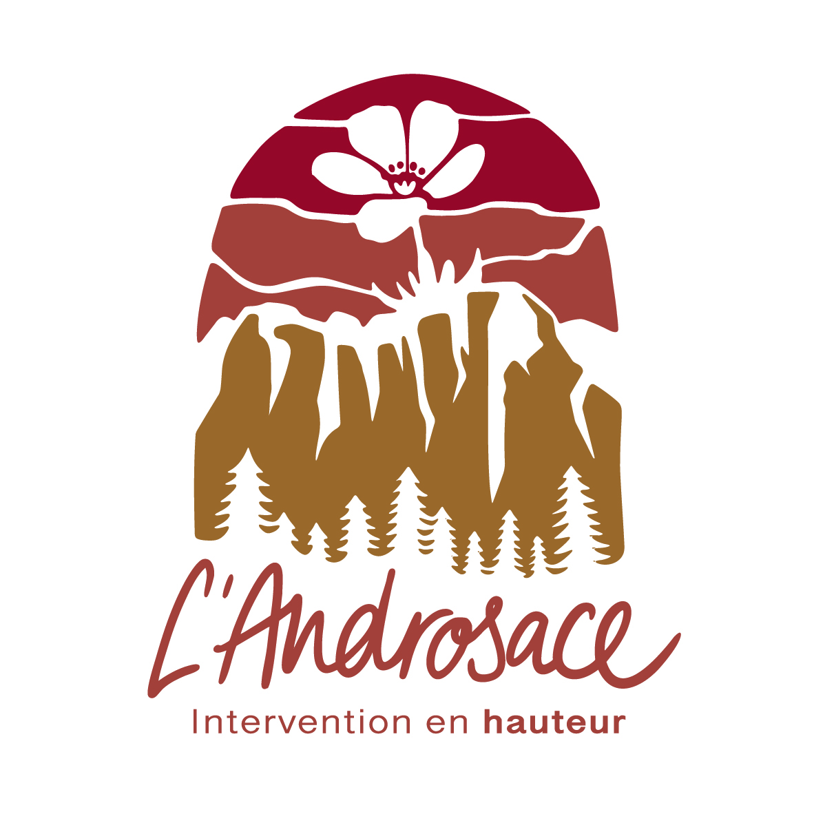 L'Androsace, Chamblon, 2025